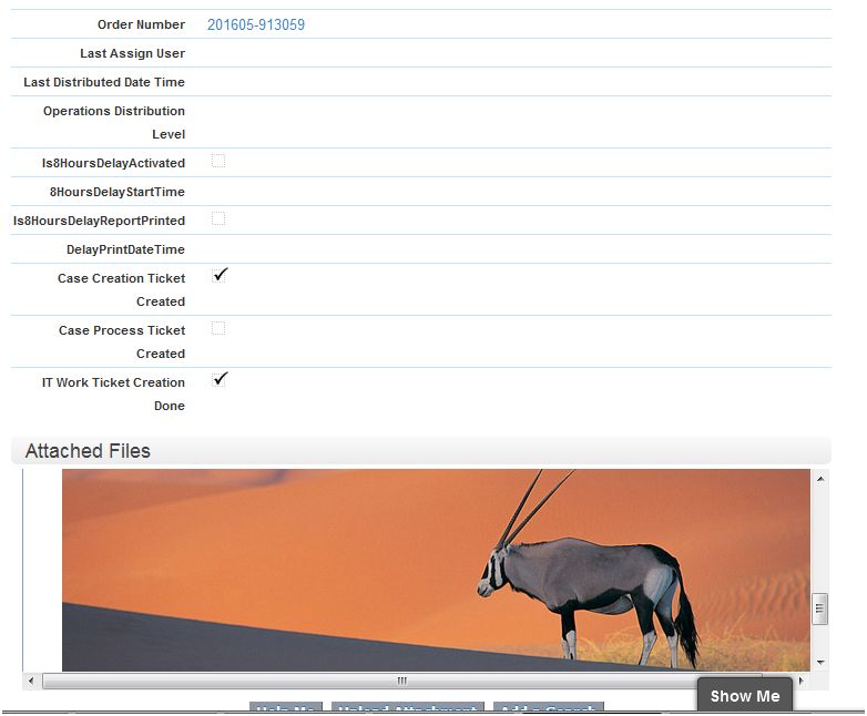Main Client Portal